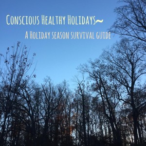Conscious, Healthy Holidays: My Tips for a Satisfying, Stress-Free Holiday Season
